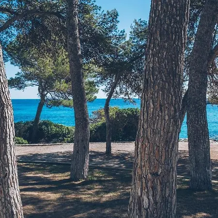 Iberostar Waves Pinos Park Font de sa Cala