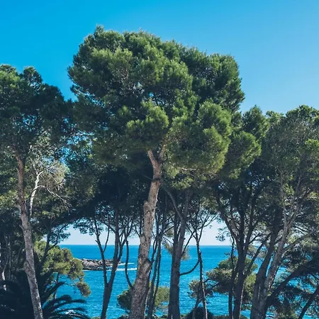 Hotel Iberostar Waves Pinos Park